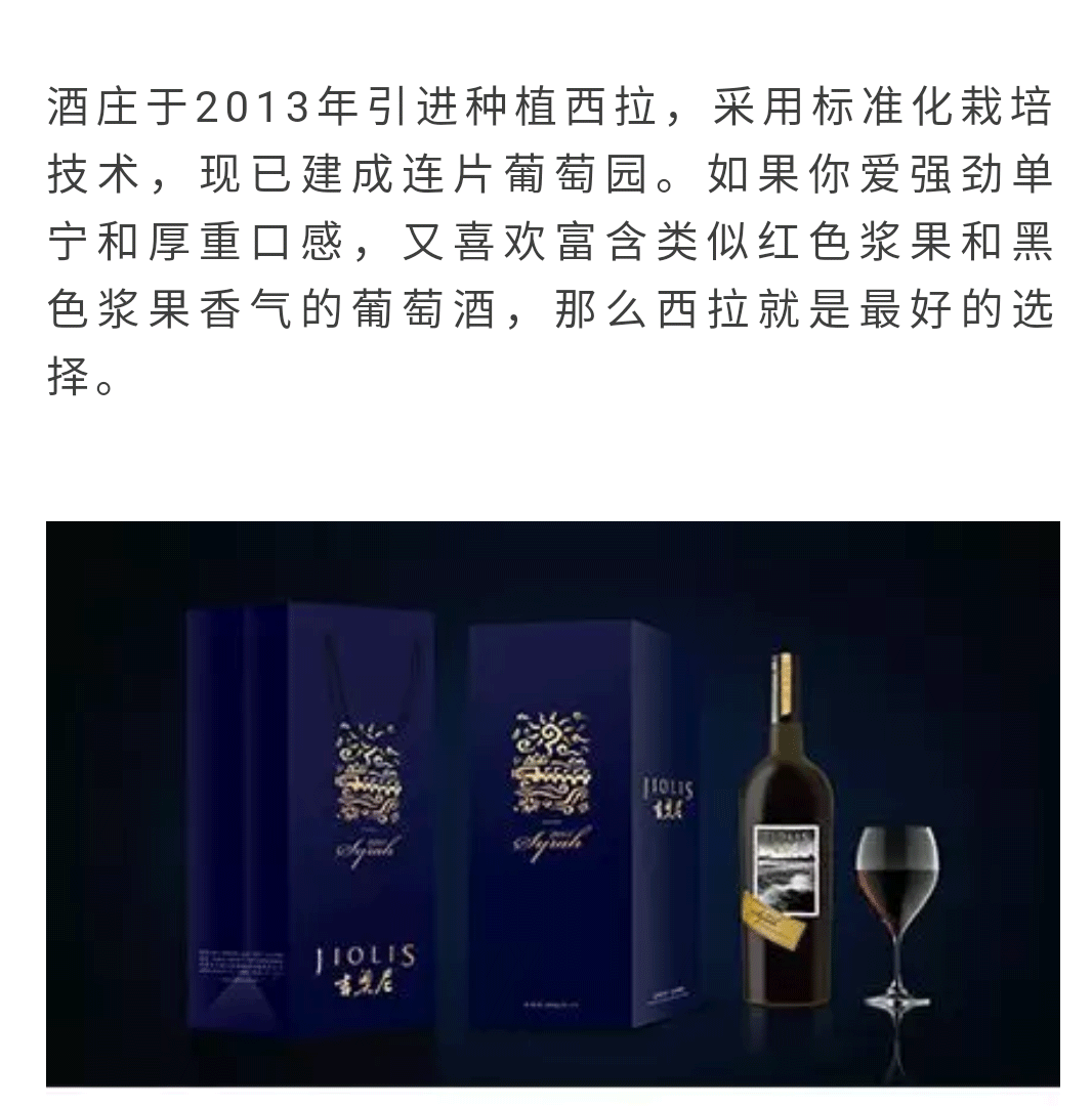 荣誉吉奥尼，无品类，不未来_01.png