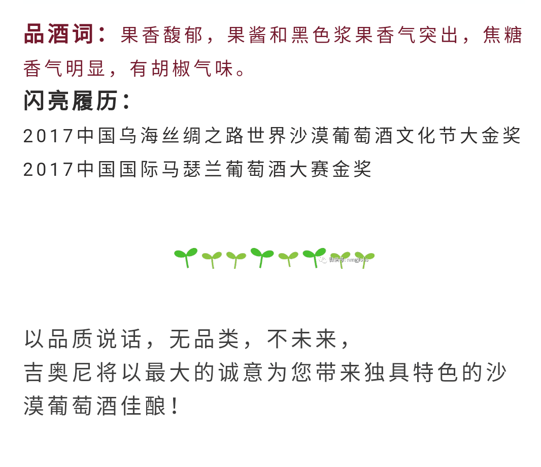 荣誉吉奥尼，无品类，不未来_01.png