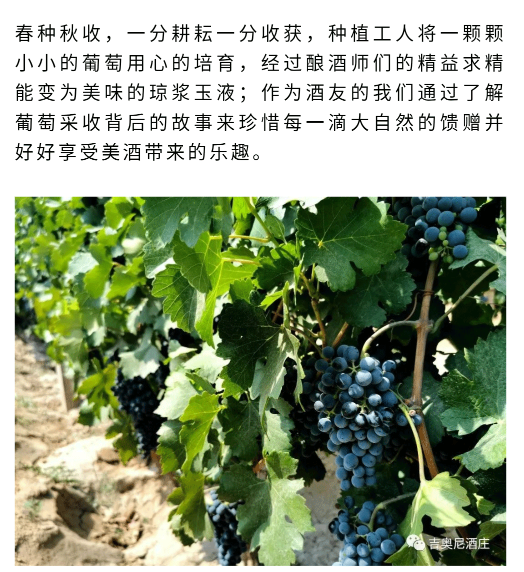 劳有所得不负好风土封面.jpg