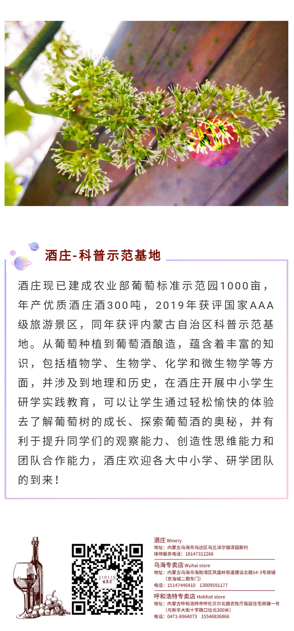 六一儿童节_04.png